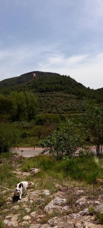 La Viajera Espadan Algimia de Almonacid 外观 照片